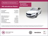 Skoda Octavia Combi 2.0 TDI DPF Ambition 4x4, Reise Pa - Skoda Octavia: 0 TDI Dpf