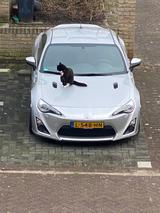 Toyota GT86 2,0-l-Boxermotor - - Toyota GT86 von privat