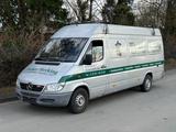 Mercedes-Benz Sprinter 311 CDI Kasten Maxi Hoch+Lang AHK - Mercedes-Benz Sprinter aus 2006: Van