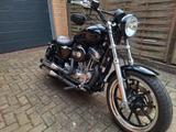 Harley-Davidson XL883 - Angebote