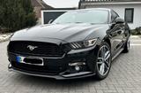 Ford Mustang 2.3 Eco - Premium - Ford Mustang: Schwarz