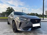 Cupra Formentor 2.0 TDI DSG 4Drive Pano Beats AHK - Behindertengerechte Cupra Formentor
