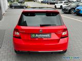 Skoda Fabia 1.0 TSI Monte Carlo PANO/PDC/SHZ/KLIMA - gebrauchte Skoda Fabia aus dem Jahr 2017