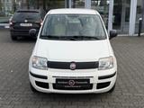 Fiat Panda 1.2 8V MyLive - Fiat Panda: My