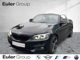 BMW 220 i Cabrio A 18'' M-Sport Leder Navi LED Alarm - BMW 220 in Frankfurt (Main)