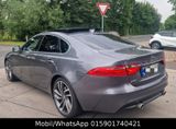Jaguar XF Portfolio 3.0l 300 Ps *Pano*LED*Tüv* - Jaguar: X300