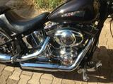 Harley-Davidson Softail FXSTC Custom - HARLEY-DAVIDSON 2008 SOFTAIL