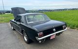 Ford Mustang Oldtimer  - gebrauchte Ford Mustang aus dem Jahr 1966