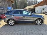 Mercedes-Benz ML 350 CDI BlueTec - graue Mercedes-Benz ML 350