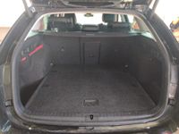 Skoda Octavia - Vorschau Bild 7