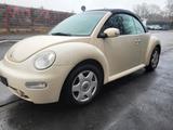 Volkswagen Beetle - gebrauchte VW Beetle aus dem Jahr 2005
