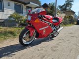 Ducati Supersport 900 SS Carenata  - DUCATI SUPERSPORT 900