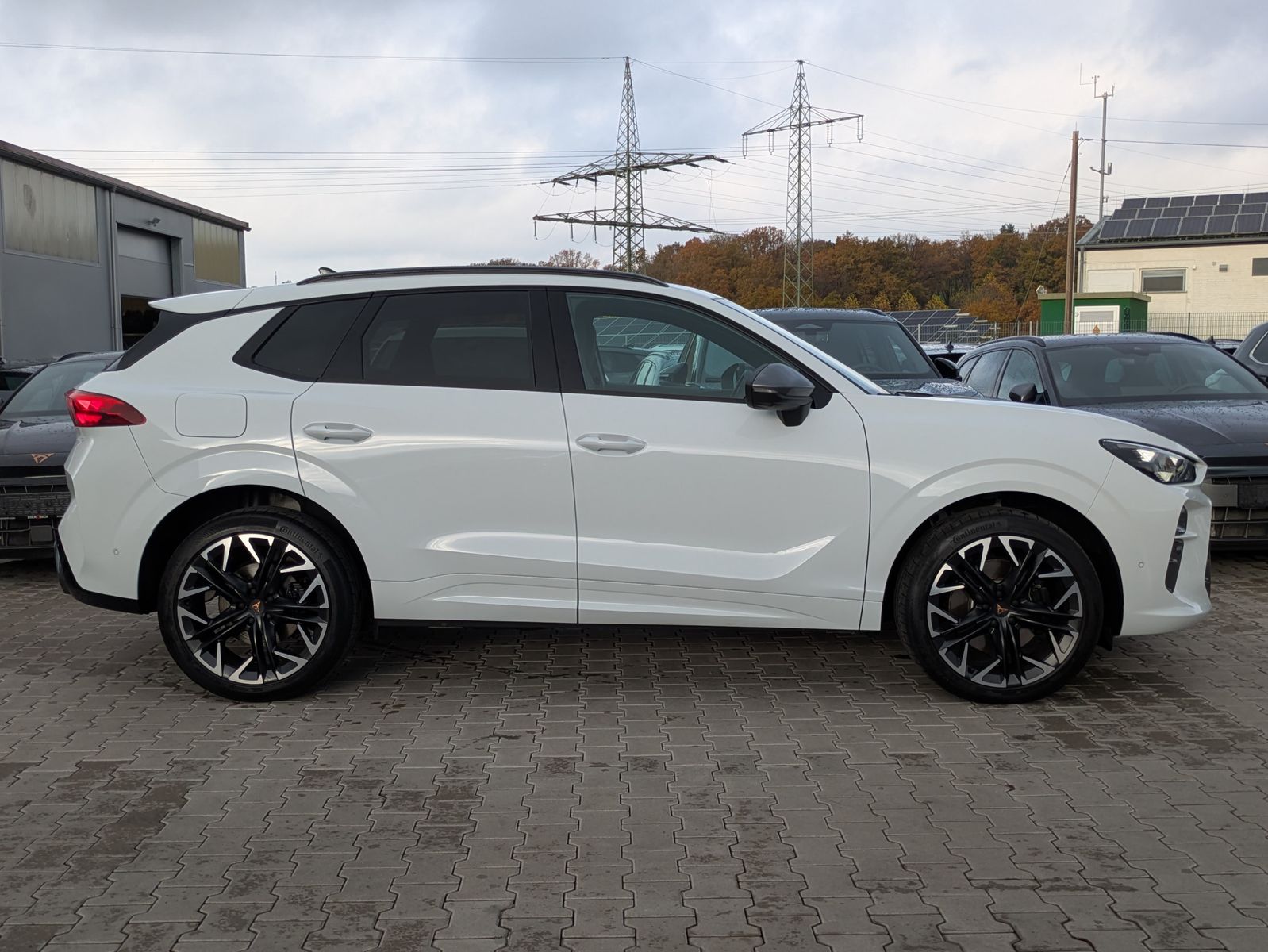 Fahrzeugabbildung CUPRA Terramar 2.0 TSI 4D VZ HUD*MATRIX*PANO*DCC*20"