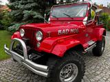 Jeep Wrangler 4L  Oldtimer Zul. Extrem Umb... - Jeep Wrangler aus 1991