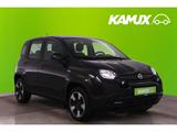Fiat Panda 1.0Mild-Hybrid City Plus+KLIMA+ISOFIX+DAB - gebrauchte Fiat Panda aus dem Jahr 2023