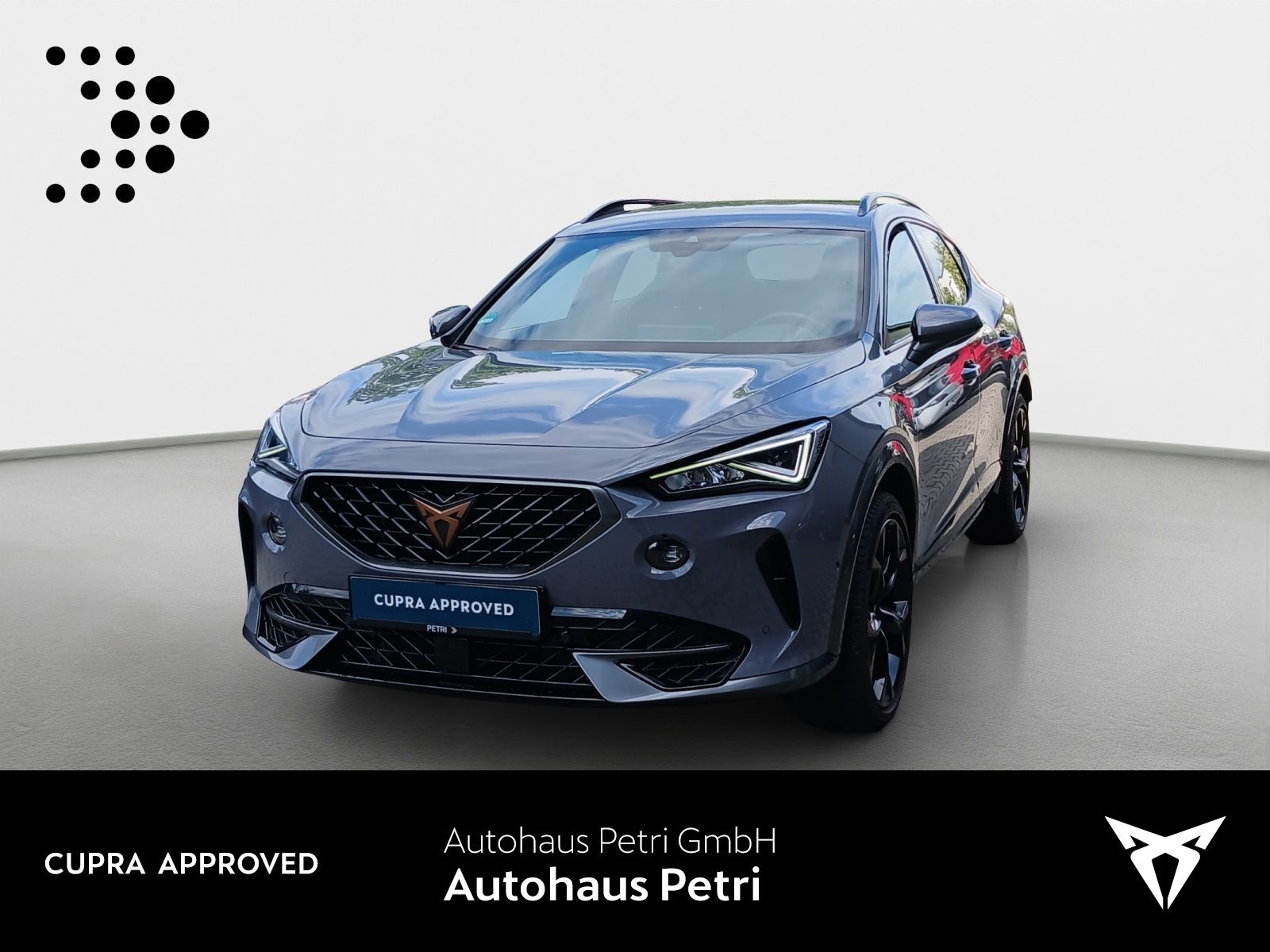 Cupra Formentor VZ 1.4 TSI e-HYBRID*NAVI*AHK*KAM*EL.HE
