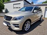 Mercedes-Benz ML 350 CDI BlueTec Edition 1 - Designo! - TÜV! - Mercedes-Benz ML 350 Gebrauchtwagen in München