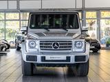 Mercedes-Benz G350d AMG Stndheiz S.dach Harm. AHK RFKamera - silberne Mercedes-Benz G 350