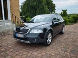 Skoda Octavia Scout 2.0TDI 4x4 Allrad Xeno... - Skoda Octavia aus 2007: Scout