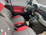 Fiat Panda 1.2 My Panda - Fiat Panda: My