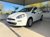 Fiat FIAT Punto 1.2 8V 5 porte Lounge EURO 6 TENUTA B - Fiat Punto: 1.6