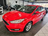 Ford Focus Lim. Trend*KLIMA*PDC*SITZHZG*ALU*2.HAND* - Ford Focus in Herne