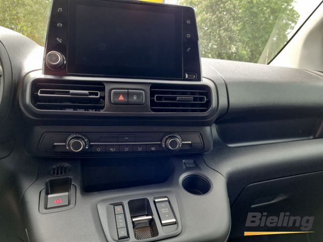 Combo e Cargo Edition Elektro