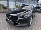 Mazda CX-30 2.5L e-SKYACTIV G 140ps 6AT FWD Exclusive- - Mazda CX-30 Tageszulassungen