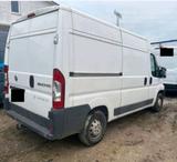 Fiat Ducato Transporter L2H2 - Fiat: Transporter