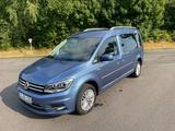 Volkswagen Caddy MaxiACC, AHK, Klima, Navi, Alcantara - Volkswagen Caddy Maxi aus 2017
