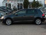 Volkswagen Golf VII 1.2 TSI Allstar*8-FACH*SHZ*GRA*BCM*MFL* - Volkswagen Golf: 2.8