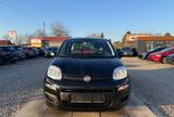 Fiat Panda Easy Sportsitze Sport Lenkrad - gebrauchte Fiat Panda aus dem Jahr 2016