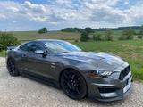 Ford Mustang 5.0 GT V8, Schalter, Navi, SHZ, 55 Years