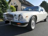 Jaguar XJ12 super Zustand - Jaguar XJ12 von privat
