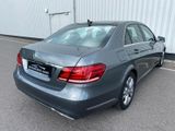 Mercedes-Benz E 300 E -Klasse BlueTec Vollleder Panoramadach - Mercedes-Benz E 300 mit Diesel-Antrieb