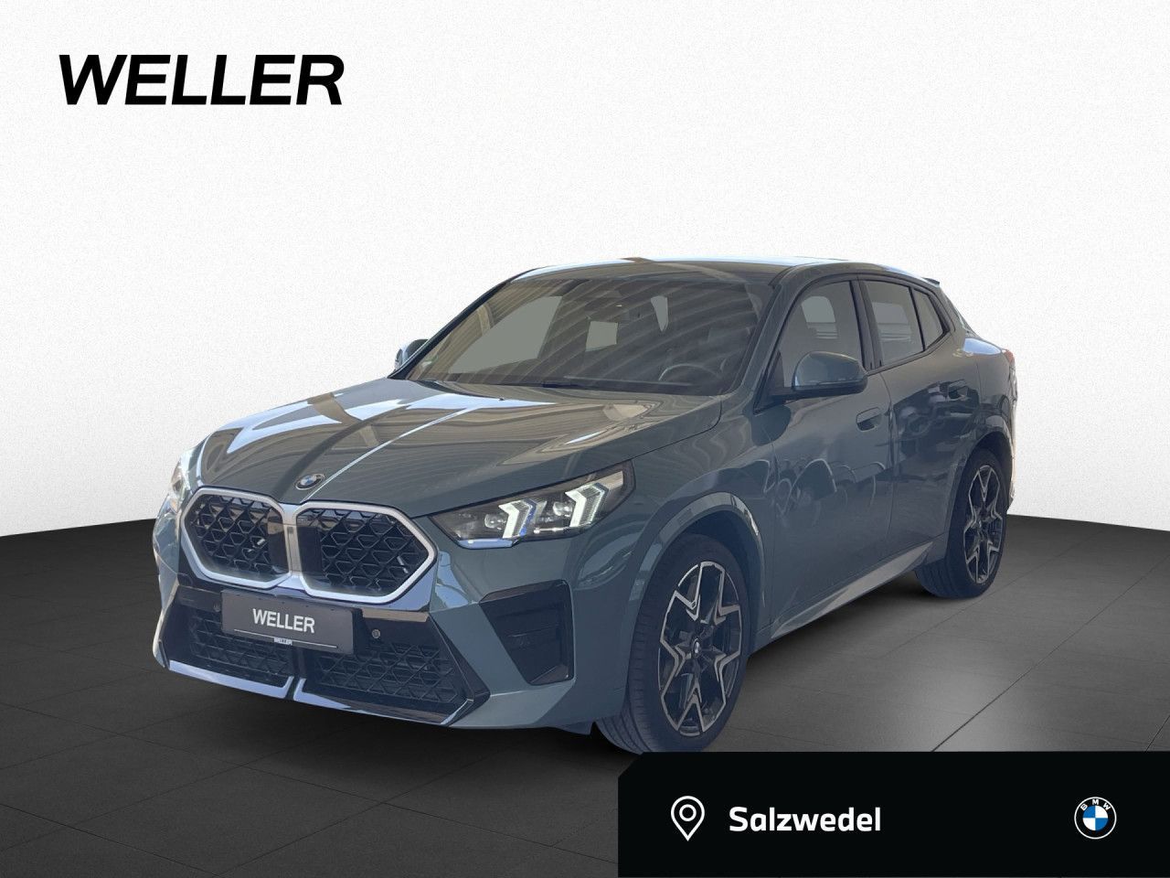 BMW X2 sDrive20d M Sport AdapLED DrA Kamera KomZu