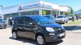 Fiat Panda Easy 1,2 69PS Parksensoren+Zahnriemen neu - gebrauchte Fiat Panda aus dem Jahr 2018