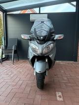 Suzuki Burgman Z - ROLLER VON 501 BIS 750 CCM