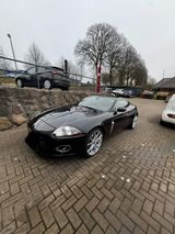 Jaguar XK 3.5 | TÜV Neu - Jaguar XK: Jag