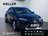 Lexus UX 250h Luxury Line *Matrix*360*HUD*Levinson*GSD - Lexus UX mit Schiebedach