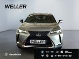Lexus UX 250h Style Edition *Bi-LED*ACC*Kamera*SHZ*Car - Lexus mit Hybrid-Antrieb