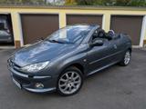 Peugeot 206 CC Platinum 110 Leder|Klima|SHZ|Alu|TÜV - Peugeot 206 in Augsburg
