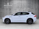 Maserati Grecale  GT - Maserati Grecale Gebrauchtwagen