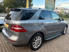 MERCEDES-BENZ ML 250 BlueTEC 4MATIC*Pano*RFK*4xSHZ*Start/Stop*