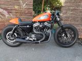Harley-Davidson XL1  Evo Sportster 1200 - HARLEY-DAVIDSON 2001 SPORTSTER 1200