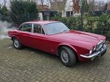 Jaguar XJ6 4,2 mit H Zulassung - Jaguar XJ6: 4.2