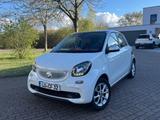 Smart ForFour 1.0 /Klima/Panorama Dach/MFL - Smart ForFour in Ludwigshafen