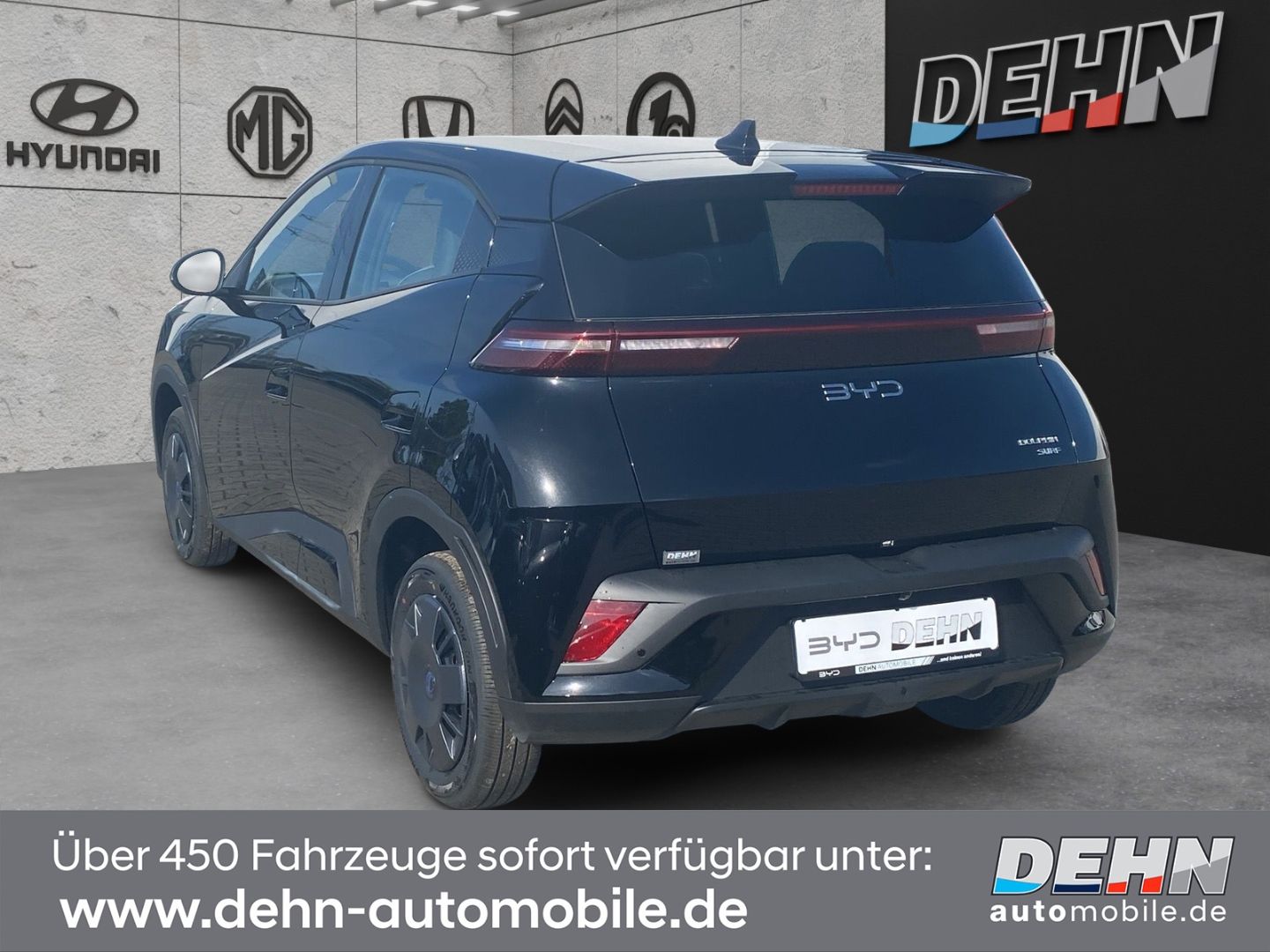 BYD DOLPHIN SURF