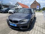 BMW M2 2 Coupe M235 i xDrive - BMW M2: Coupe