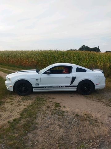 Ford Mustang 3,7 V6